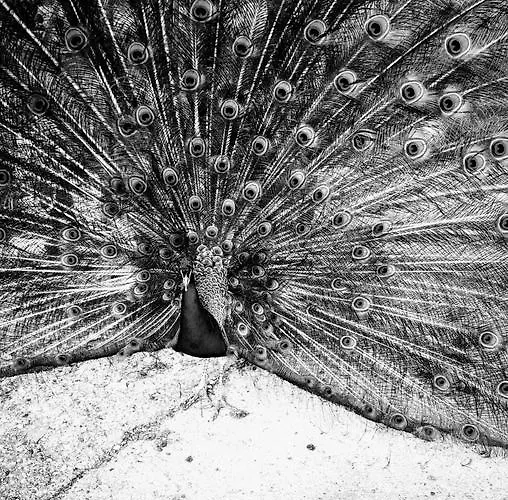 La Casona Отель 3*